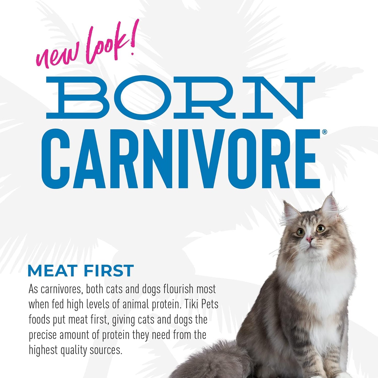 Tiki Cat Born Carnivore High Protein Dry Cat Food, Herring & Salmon Meal, 11.1 Lbs. Bag