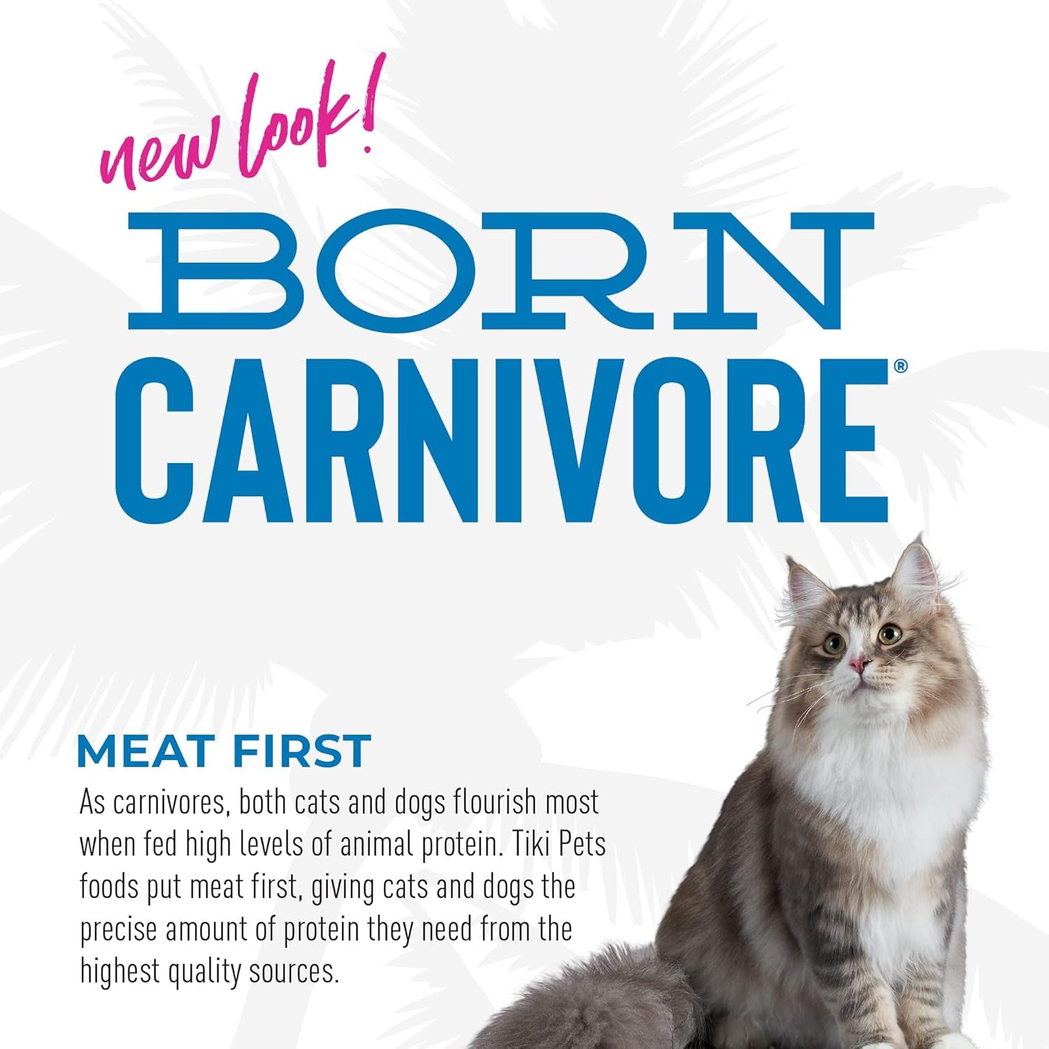 Tiki Cat Born Carnivore High Protein Dry Cat Food, Herring & Salmon Meal, 11.1 Lbs. Bag