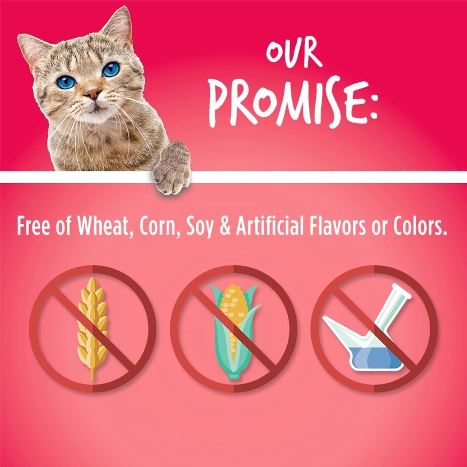 Cat Treats, Healthy Treats for Cats, Low Calorie and Packed with Protein, Crunchy Biscuits, Free of Wheat, Corn and Soy, Made with Real Salmon and Cranberry, 2.5Oz