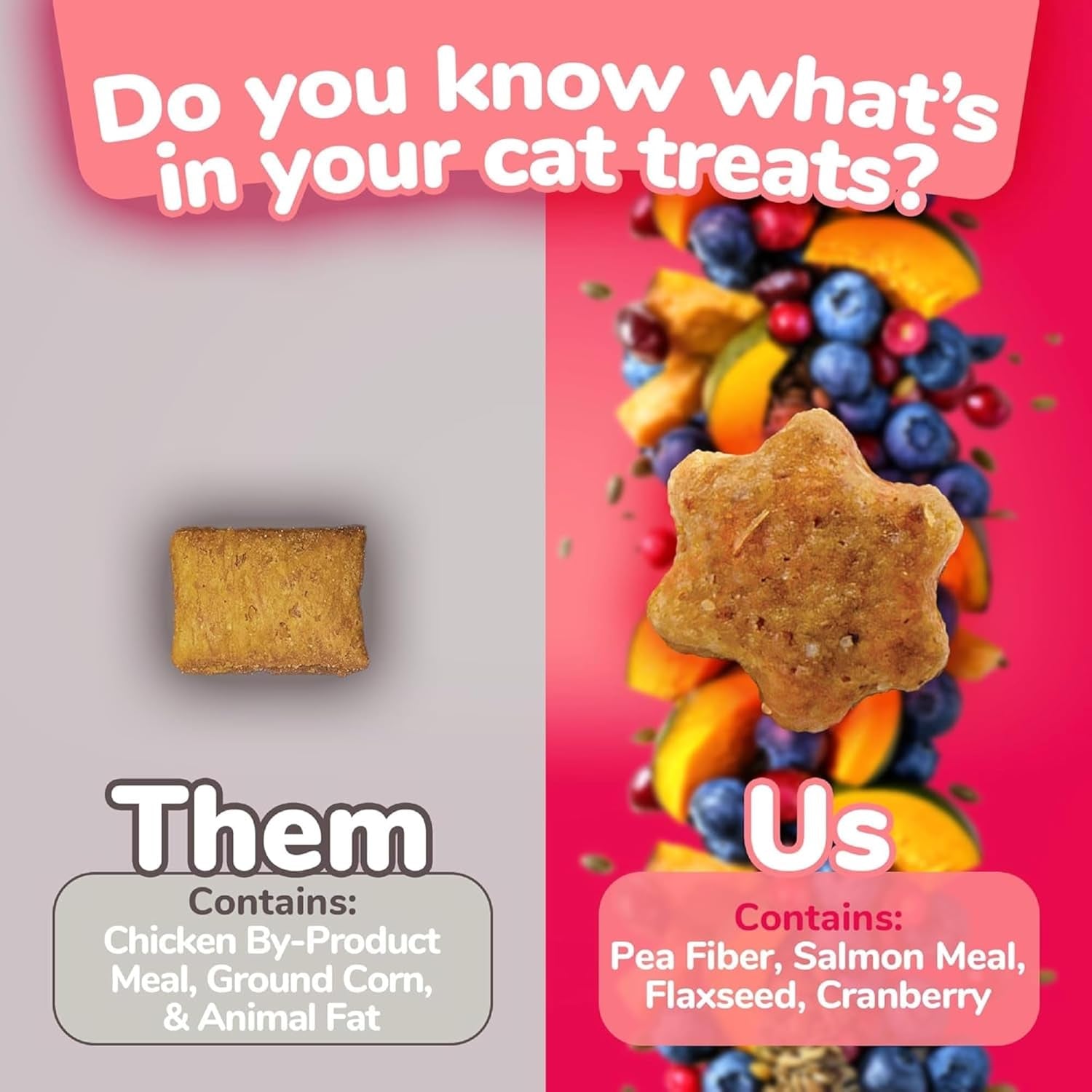 Cat Treats, Healthy Treats for Cats, Low Calorie and Packed with Protein, Crunchy Biscuits, Free of Wheat, Corn and Soy, Made with Real Salmon and Cranberry, 2.5Oz