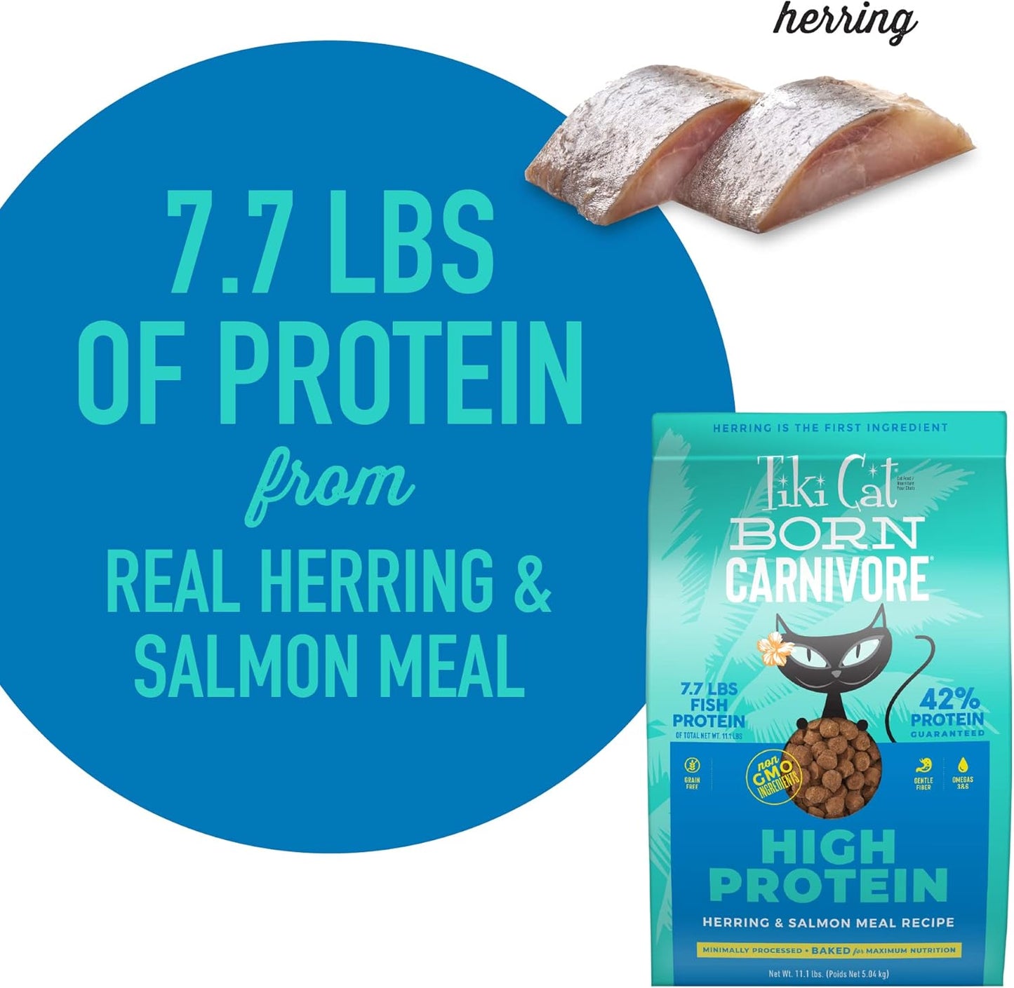 Tiki Cat Born Carnivore High Protein Dry Cat Food, Herring & Salmon Meal, 11.1 Lbs. Bag