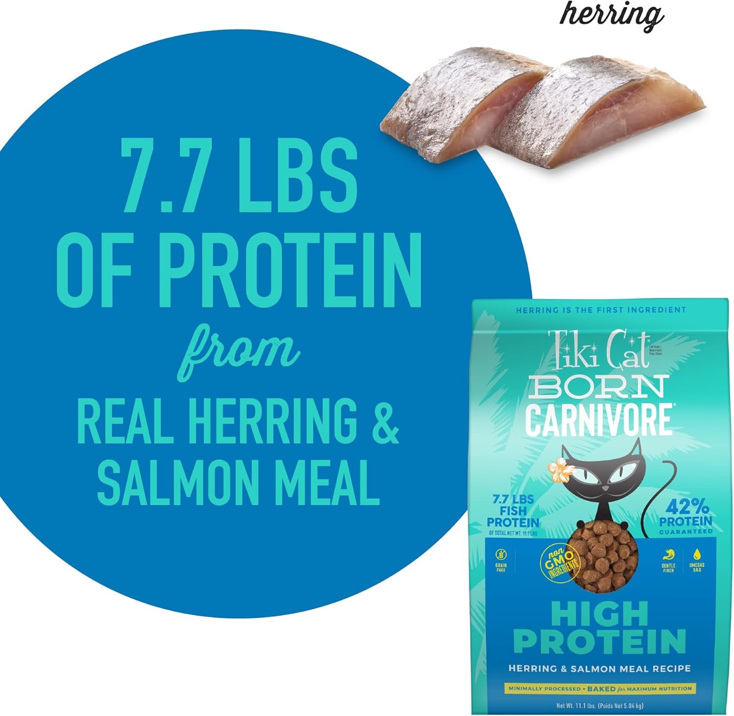 Tiki Cat Born Carnivore High Protein Dry Cat Food, Herring & Salmon Meal, 11.1 Lbs. Bag